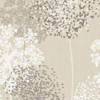 Bouti Terra - Imagen 3