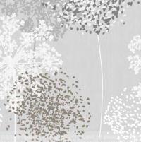 Bouti Terra - Imagen 4